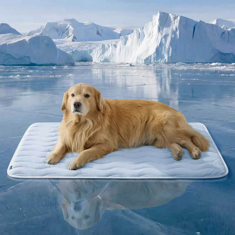 🧊 Washable Pet Cooling Mat – Q-Max >0.4 Ice Silk Dog Bed