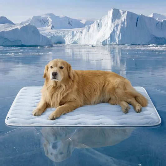 🧊 Washable Pet Cooling Mat – Q-Max >0.4 Ice Silk Dog Bed